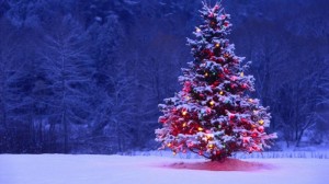 CHristmas-trees